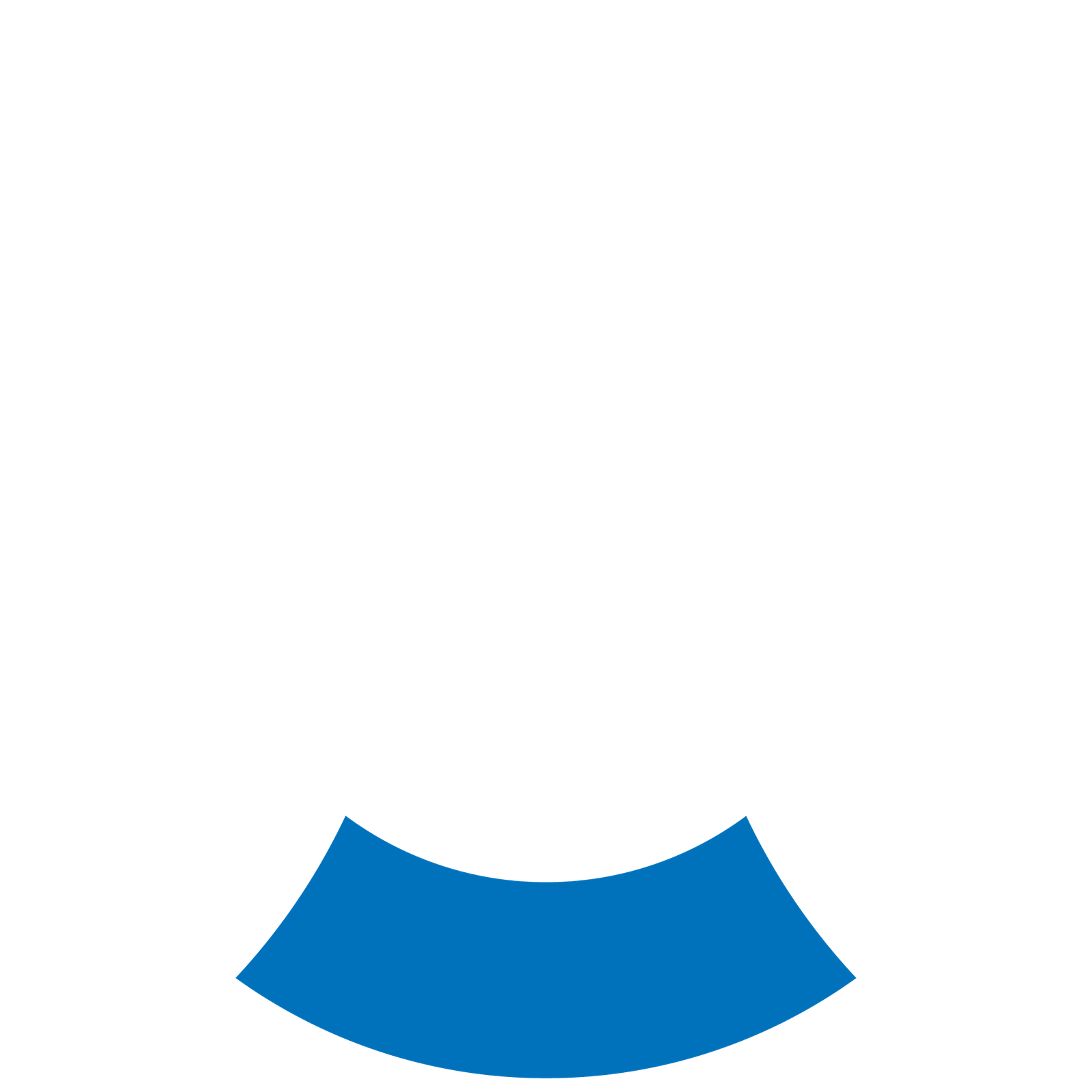 Octonics